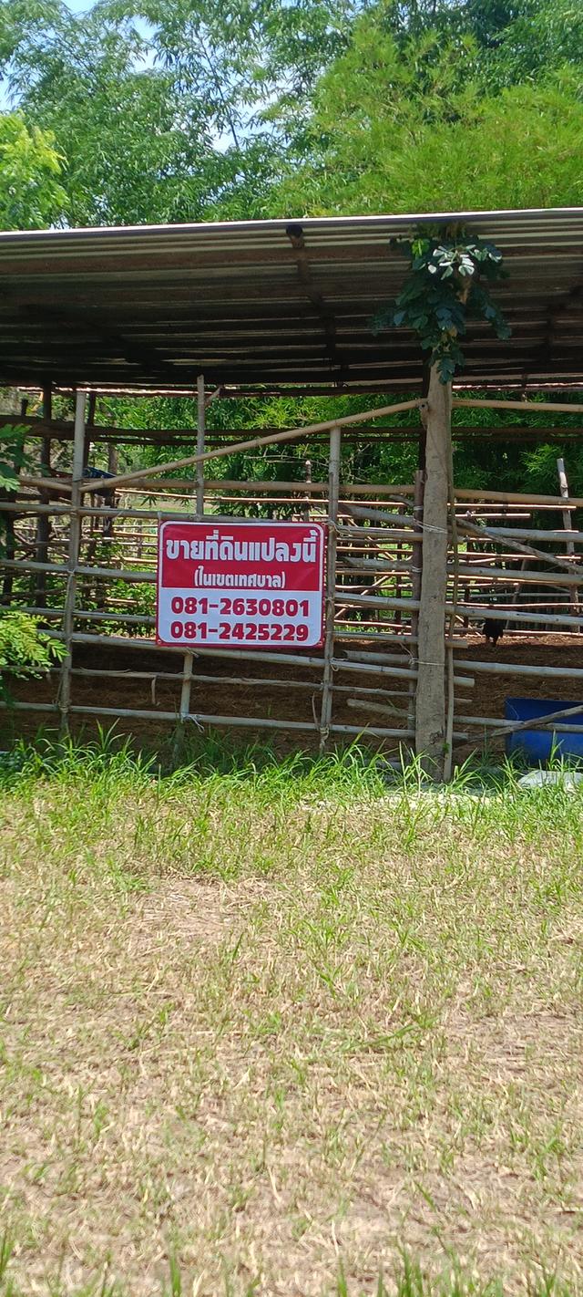 ที่ดินเมาะกับการลงทุน 6