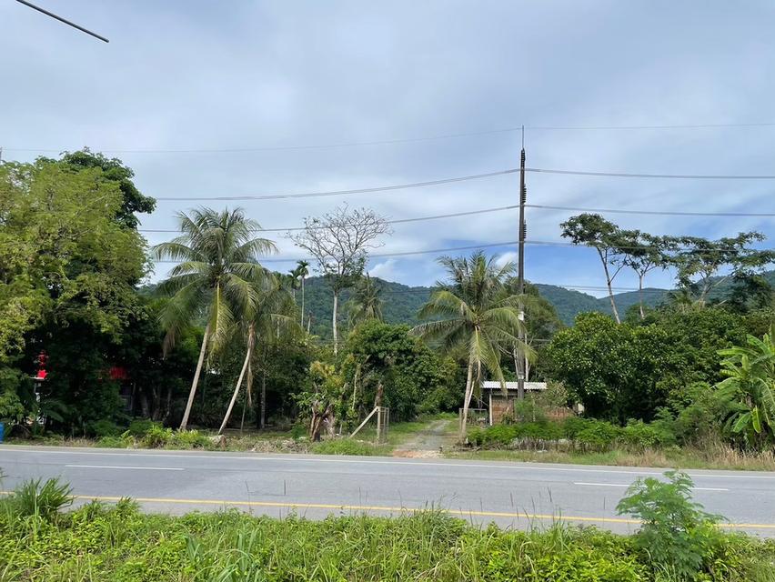 ที่ดิน 8.5 ไร่ ริมถนนสุขุมวิท ต.คลองนารายณ์ อ.เมือง จ.จันทบุรี 12