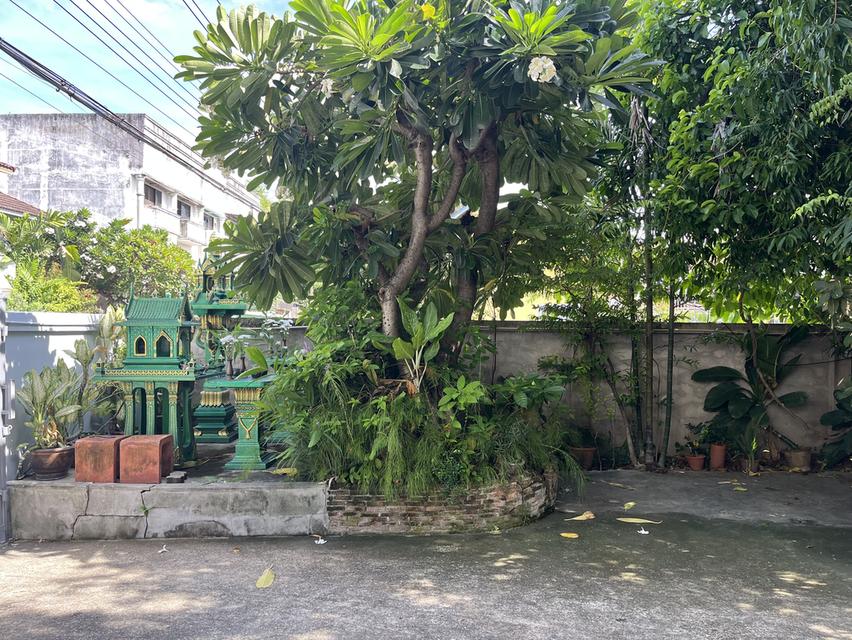 บ้านพร้อมที่ดินสุขุมวิท 136 ตารางวา 5