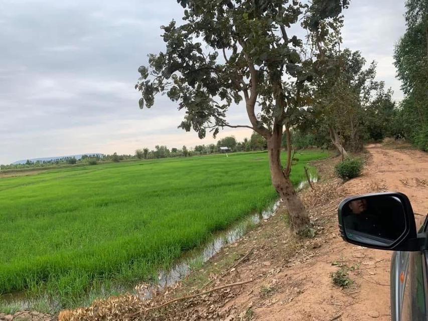 ขายที่ดิน จ.ชัยภูมิ
