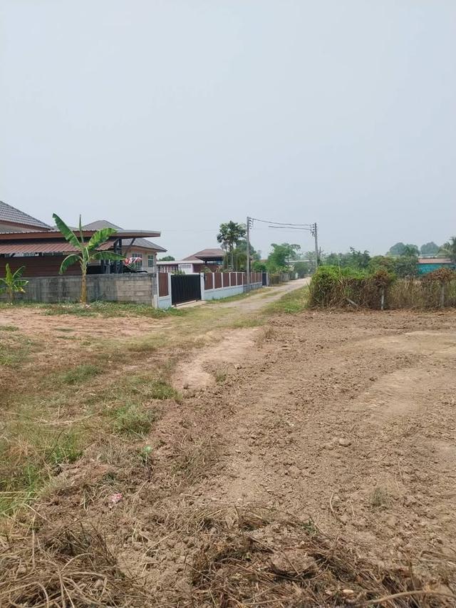 ที่ดินสำหรับสร้างบ้าน 5