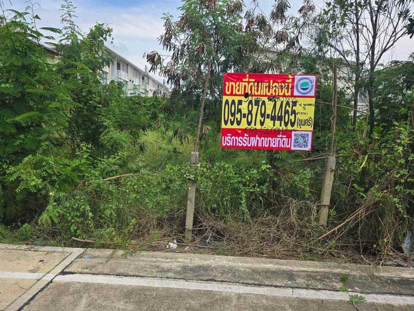 ขายด่วนที่ดินใกล้เซ็นทรัลศาลายา 91 ตรว ติดถนนคอนกรีตสาธารณะ ถมแล้ว ซ.หอถังประปา รพช. อ.พุทธมณฑล จ.นครปฐม 1