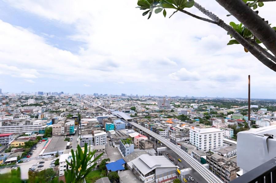 68080950 : ขายห้องชุดพักอาศัยขนาด 1 ห้องนอน พื้นที่ 26.5 ตรม. โครงการ The Tree Charan 30 ใกล้รถไฟฟ้าสายสีน้ำเงิน สถานีแยกไฟฉาย คุ้มค่า น่าอยู่ 8