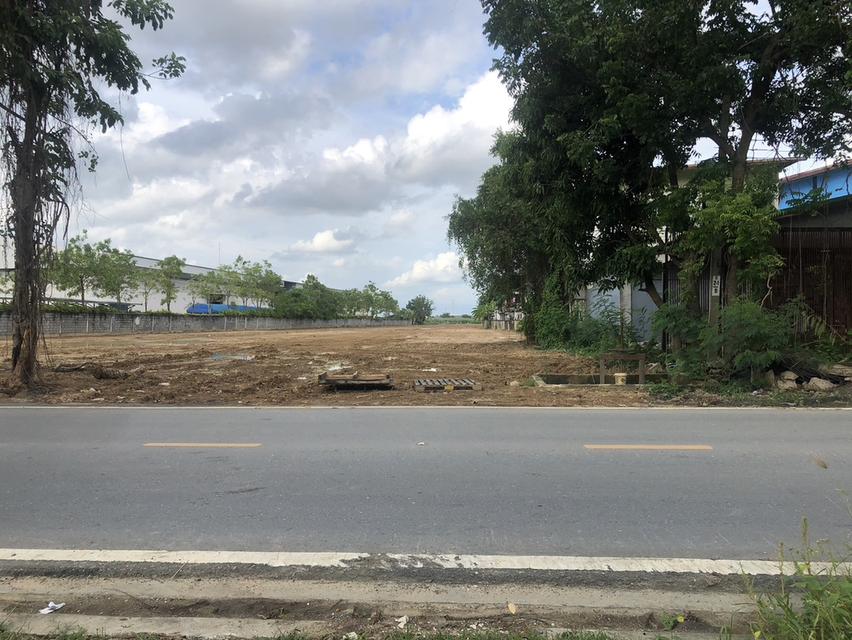 ขายที่ดินถมแล้ว 8-1-73 ไร่  9