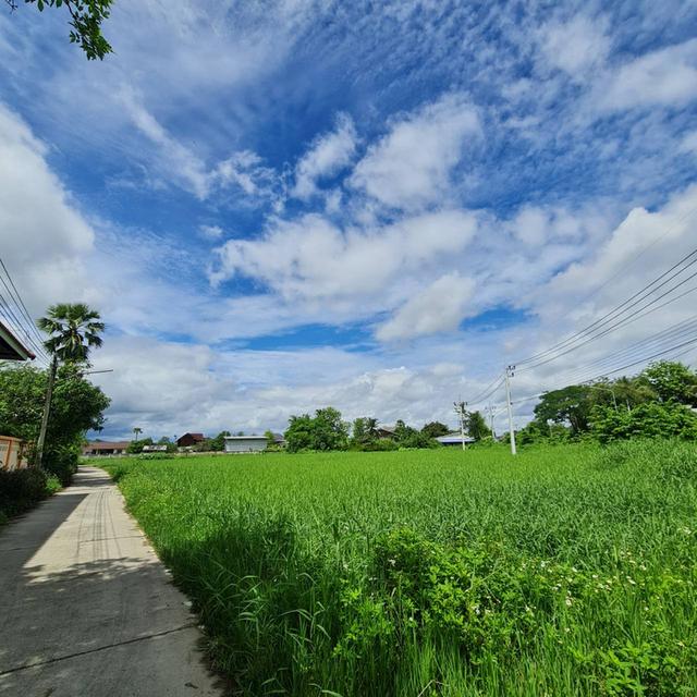 ที่ดิน  แปลงหัวมุม อ.บ้านธิ จ.ลำพูน 6