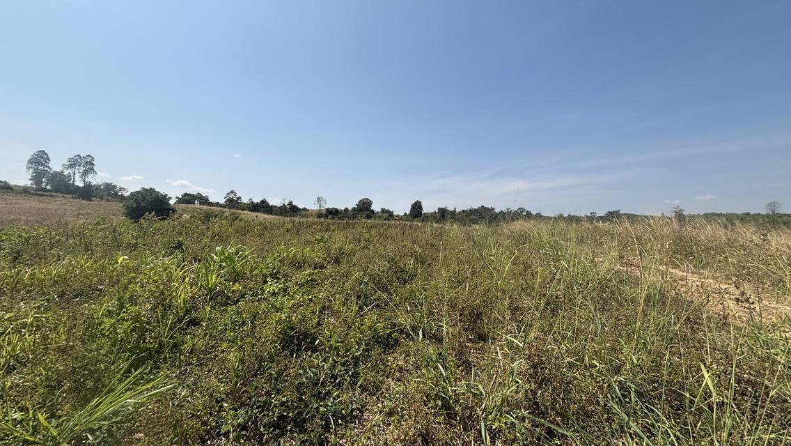 ที่ดิน เปล่า อยู่ติดถนน 304 เพียง 5 นาที วิวสวย บนภูเขา วังน้ำเขียว 5