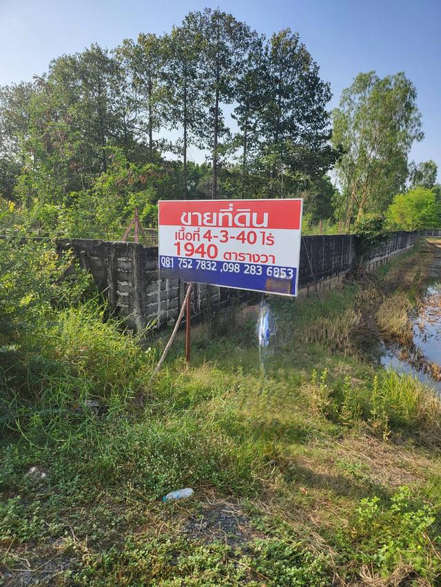 ขายที่ดินสำหรับปลูกบ้านที่ตำบลบ้านแป้งใกล้พระราชวังบางปะอินจังหวัดพระนครศรีอยุธยา 2