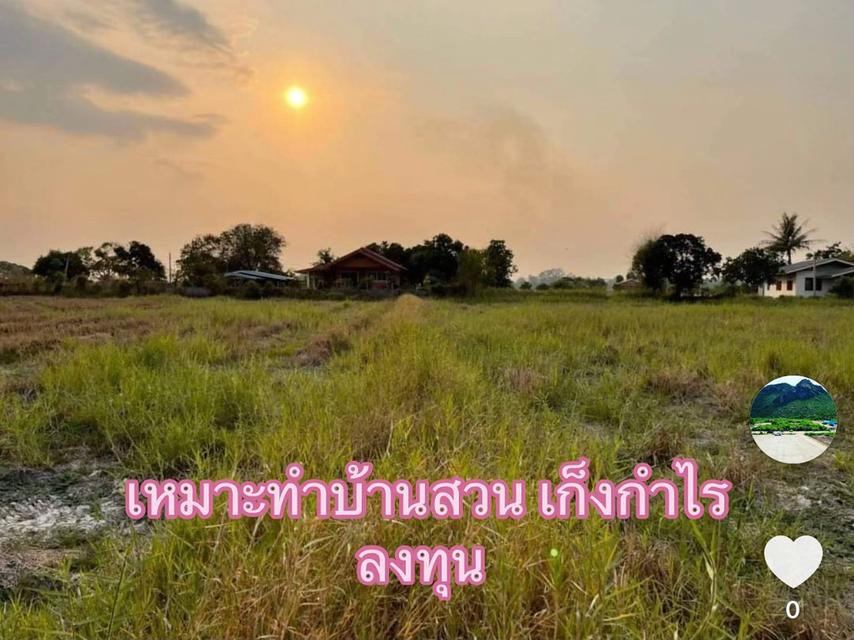 ขายขาดทุน ที่ดินบ้านนา นครนายก เหมาะบ้านสวน 