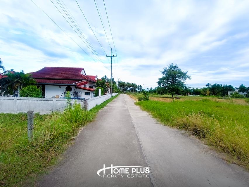🌳 ขายที่ดิน 2 ไร่ ใกล้สถานีรถไฟห้วยยาง ทับสะแก 6