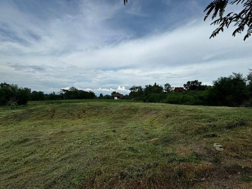 ที่ดินโฉนด 4ไร่ เมืองเพชรบูรณ์ 2