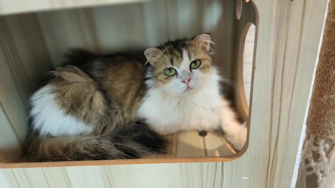 ปล่อยคุณแม่ หมันแล้ว อายุ 2 ปี