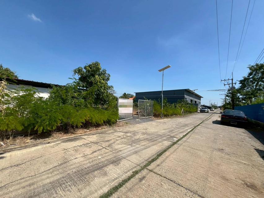 ขายที่ดินเปล่า ซอยบงกช40 คลองสอง คลองหลวง 2