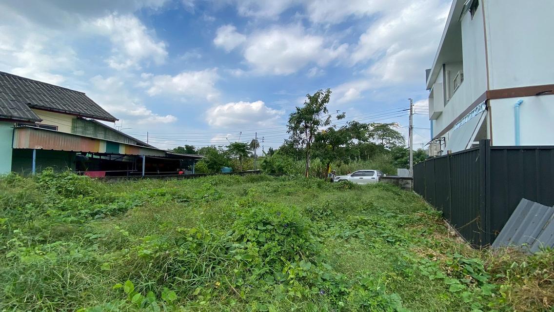 ขายด่วน ที่ดินใกล้เดอะมอลล์บางแค 75 ตารางวา ติดถนนคอนกรีตสาธารณะ ถมแล้ว ซอย เพชรเกษม 68 แยก 29 เขตภาษีเจริญ กทม. 9