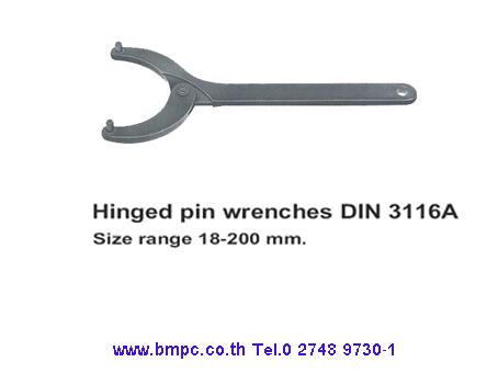 Hing Hook wrench with nose, ประแจขันนีอตล๊อกลูกปืนปลายเพลา, Wrench for slotted round nut,