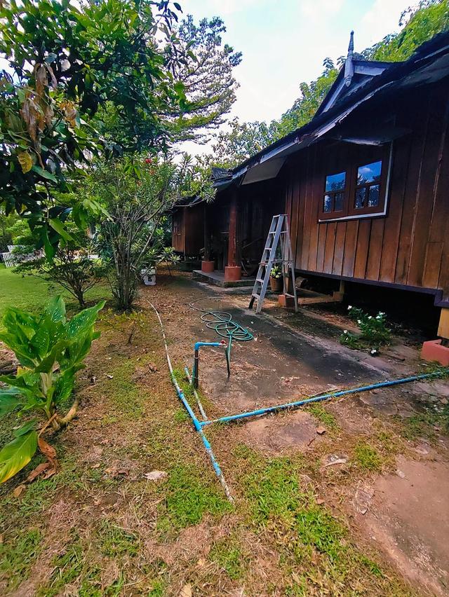 ที่ดินพร้อมสิ่งปลูกสร้าง ต.ป่าตัน อ.เมืองเชียงใหม่ 13