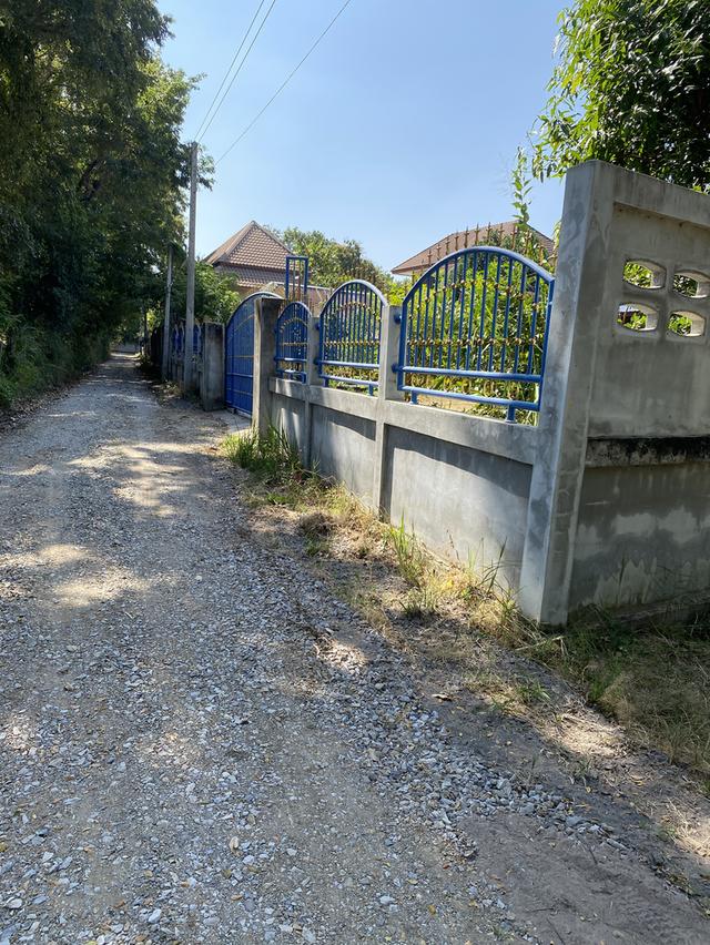 ที่ดินเปล่าอยู่หลังโรงเรียนมหาวิชานุกูล 2 แปลงแปลงละ 100 ตรว ใกล้ศาลากลาง โรงเรียน สถานที่ราชการ สถานี บขส สนามกีฬาจังหวัด สถานีรถไฟ 2