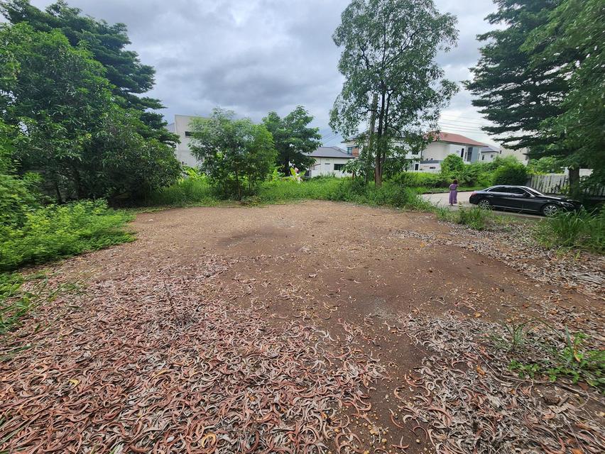 ขายที่ดิน 68 ตร.ว ในหมู่บ้าน Neo City ดอนเมือง กรุงเทพฯ เจ้าของขายเอง 2