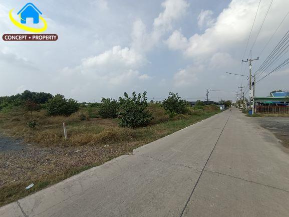 ขายที่ดิน 6 ไร่ ถมแล้ว ถนนประมง หมู่ 7 โคกขาม อำเภอเมืองสมุทรสาคร 1