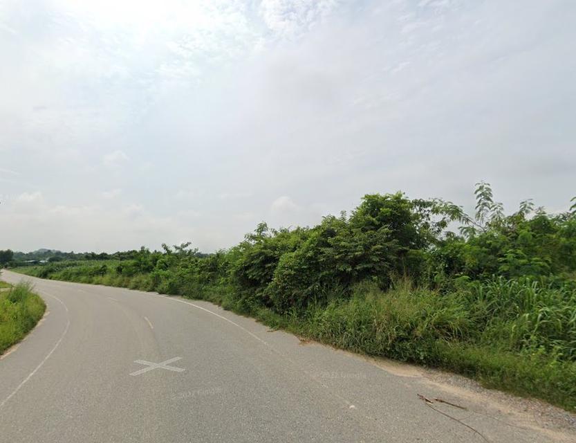 ขายที่ดินเขาหินซ้อน 43 ไร่ ติดถนนลาดยางซอยเทศบาล6 ใกล้ถนนสี่เลน304-1กม. อ.พนมสารคาม ฉะเชิงเทรา