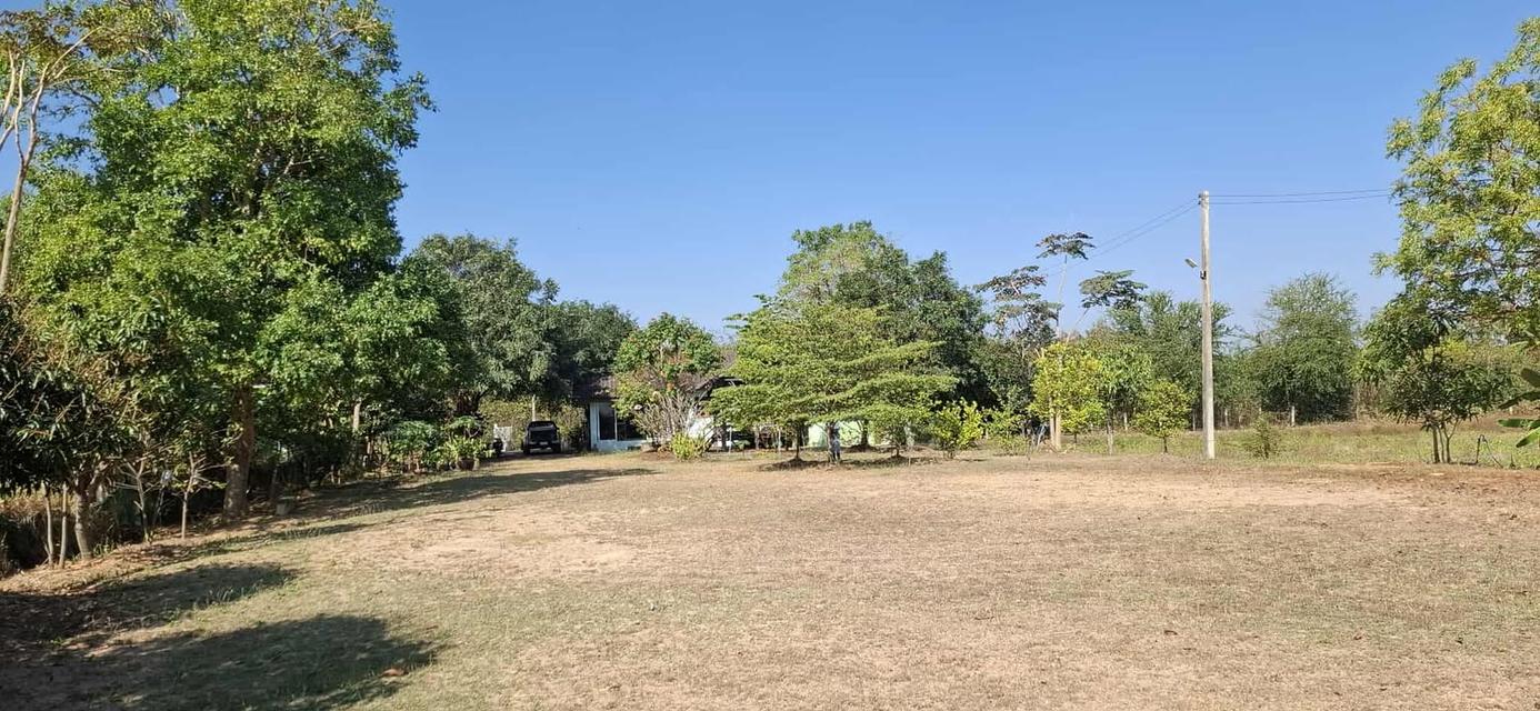 5 ไร่ ทางเข้าไทวัสดุ  โคราช บายพาส ปักธงชัย - จอหอ  9.8 ล้าน 8