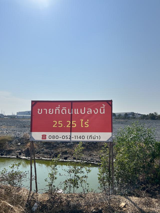 ขายด่วนที่เปล่าติดถนนถมแล้ว 25.25 ไร่ (ราคาเพียง 5.5 ลบ./ไร่) ราคารวมถมแล้ว ติดถนน อยู่ใกล้นิคม ถนนโคกขาม-สันดาป หลังนิคมสินสาคร จ.สมุทรสาคร 1