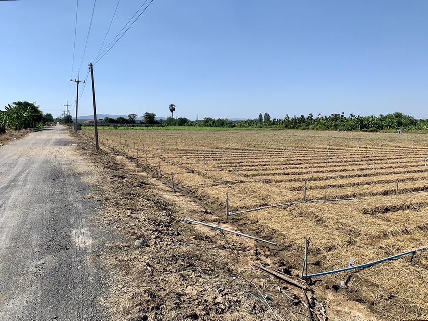 ขายที่ดินสวย10ไร่ โฉนดครุฑแดงพร้อมโอน ใกล้เทศบาลวังศาลา เข้าออกได้หลายทาง ติดถนนสาธารณะ วิวสวย บรรยากาศดี 4