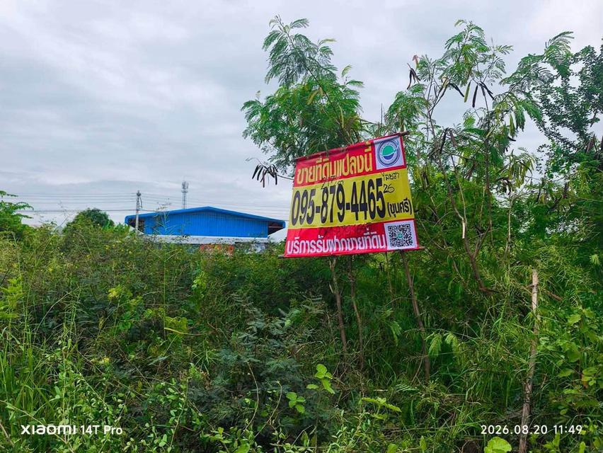 ขายด่วนที่ดิน 215 ตรว ติดถนนสาธารณะ 2 ด้าน ซ.ไอยรา 26,27 คลองหลวง ปทุมธานี 1