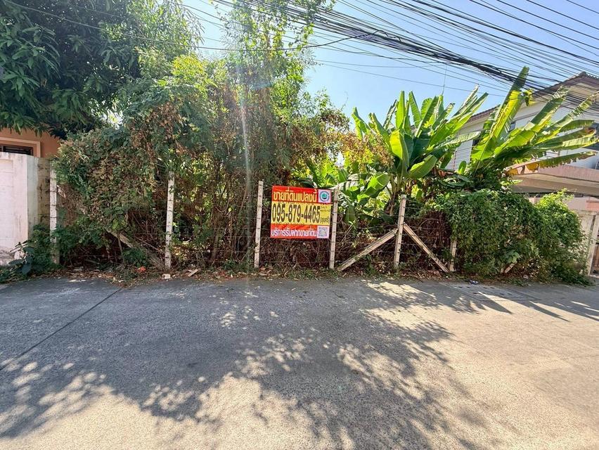 ขายถูกที่ดิน 100 ตรว  ซอยพหลโยธิน 54/1 แยก 6-10 สายไหม กทม.ถมแล้ว+ล้อมลวดหนาม 3