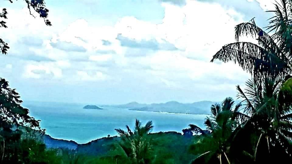 ที่ดินซีวิวบนเกาะสมุยอากาศดีถนนไฟฟ้าพร้อม 14