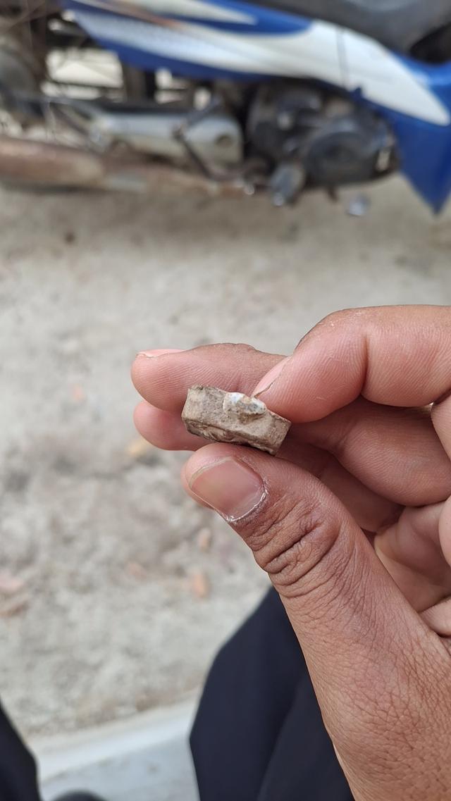 หลวงพ่อปาน ปี2527 พิมพ์ขี่เม่น (หลวงพ่อฤาษีลิงดำปลุกเสก) รูปย่อยที่ 4