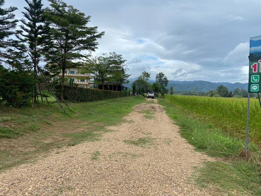 ขายที่ดิน 3 ไร่ ทำเลสวยมาก วิวเห็นเขารอบด้าน 360 องศา ใกล้พระธาตุช่อแฮ ใกล้สนามบินแพร่ 2