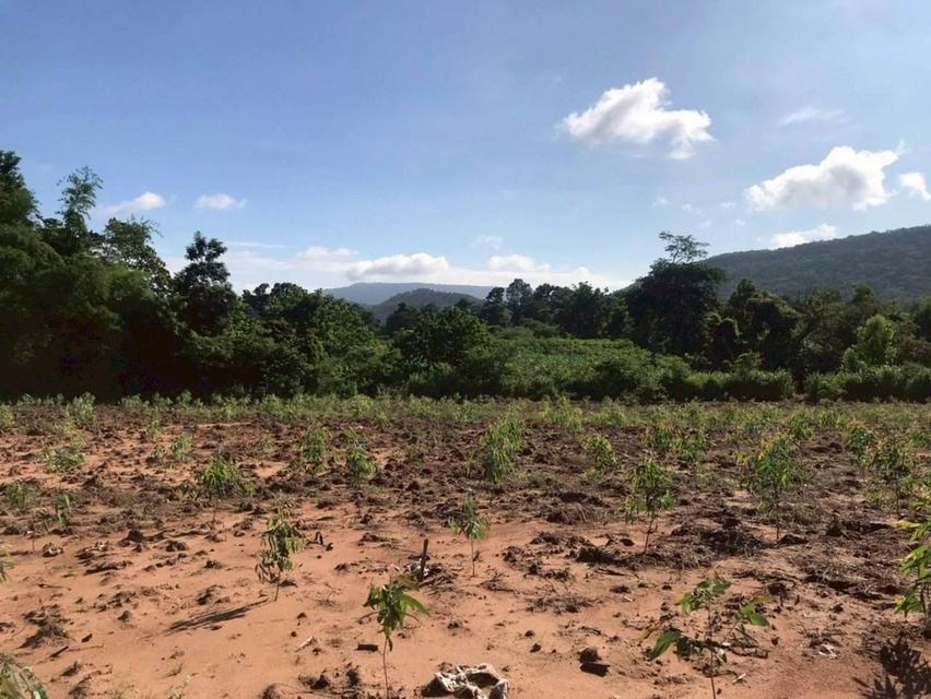 ที่ดินเปล่า จ.ลพบุรี อ.ลำสนธิ 11