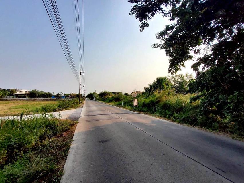 ขายด่วนที่ดิน 267 ตรว ติดถนนคอนกรีตสาธารณะ ซ.ดาวทอง 2 ศาลายา พุทธมณฑล นครปฐม 2