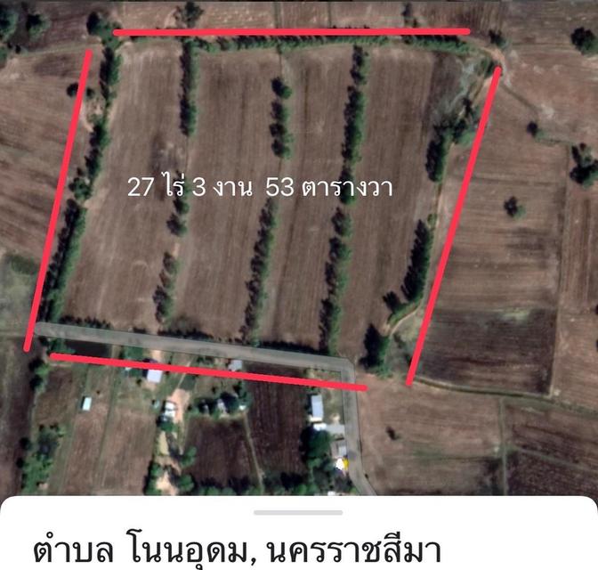 ที่ดิน ที่นา ที่อยู่อาศัย ที่ดินเปล่า 1