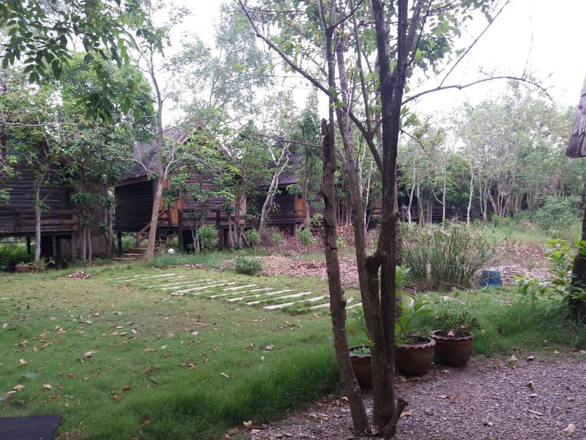 ที่ดินสวยติดแม่น้ำแม่กลอง 5