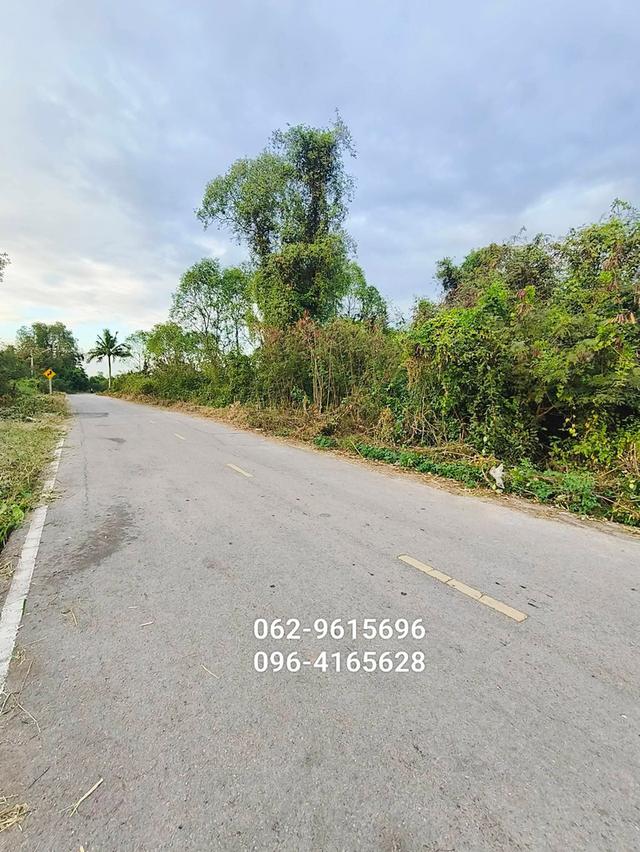 อสังหาริมทรัพย์ ที่ดิน 5