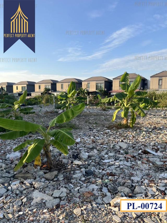 ขายที่ดิน คลองสามประเวศ ลาดกระบัง ขนาด180 ตารางวาเหมาะสร้างบ้านราคาย่อมเยาว์ 8