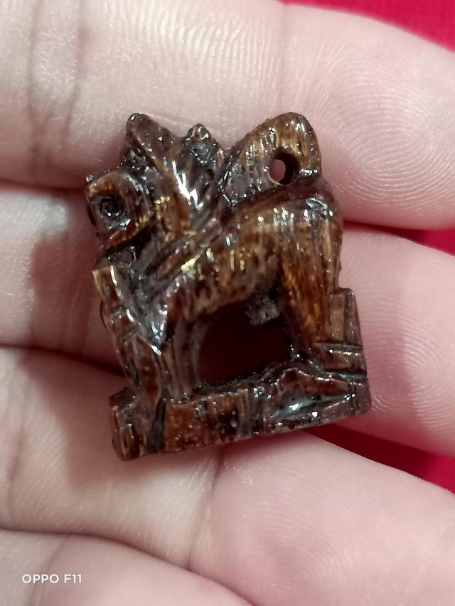 คชสิงห์ หลวงปู่รอด วัดบางน้ำวน