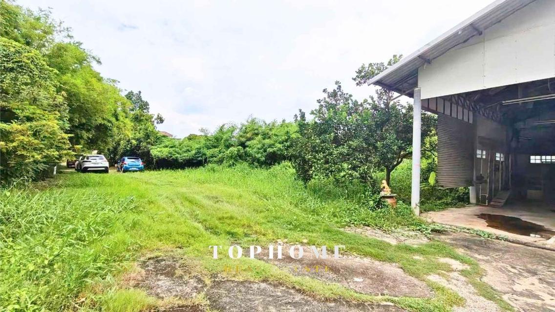 ขายด่วน❗️ ที่ดินพร้อมบ้าน ซอยชัยพฤกษ์ 18 ถมเเล้ว ใกล้ Central Pinklao 🏠ทำเลดี น่าลงทุน📌 12