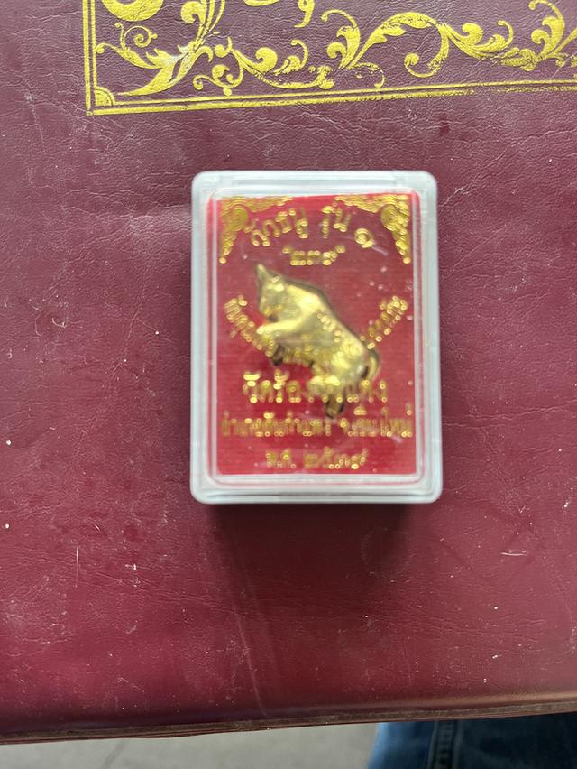 วัวธนู รุ่น1 ทองคำ วัดร้องวัวแดง