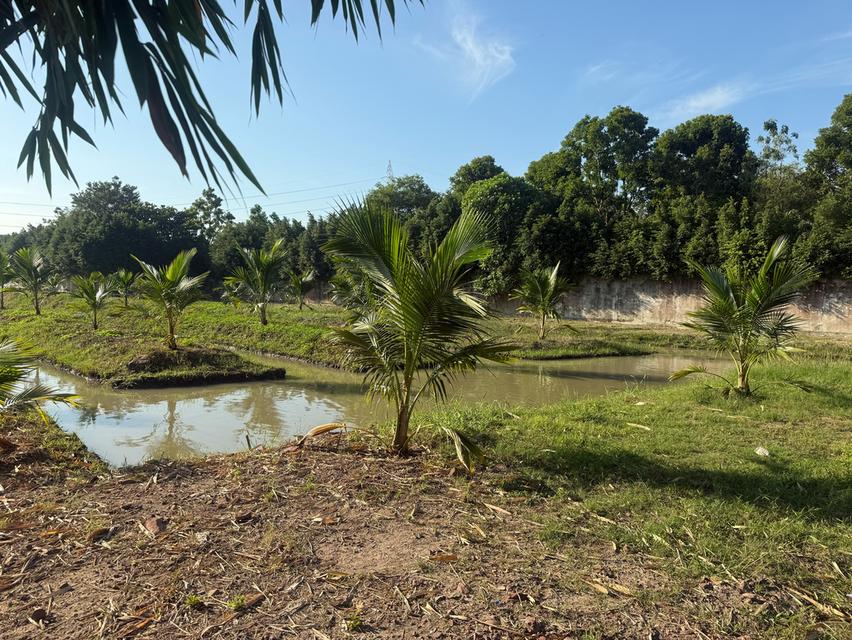 ขายที่ดินสำหรับสร้างบ้านอยู่อาศัย โกดัง หรือเพื่อการลงทุน สมุทรสาคร 2