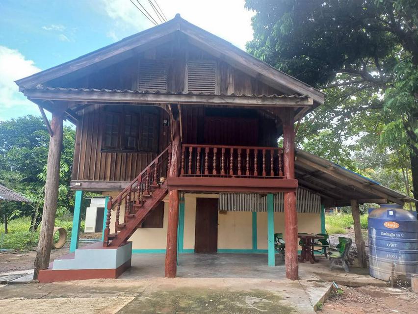 ขายที่ดินสิ่งปลูกสร้าง 13-3-22 ไร่ สวนมะม่วงน้ำดอกไม้ ตำบลพระธาตุผาแดง อำเภอแม่สอด จังหวัดตาก 2