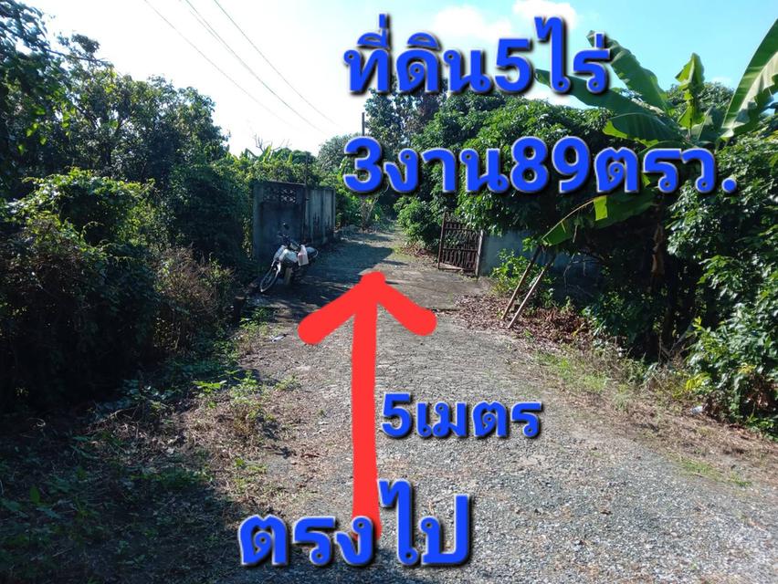 🏡 ขายที่ดินสวนลำไย ทำเลดี ใกล้ถนนซุปเปอร์ฯเชียงใหม่-ลำปาง 3