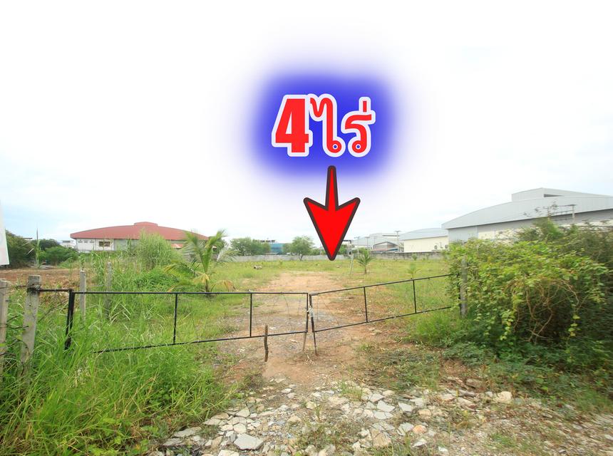 ที่ดินเลียบคลองสี่วาตากล่อม บางบอน5ซ.5 ถนนเอกชัยวัดโพธิ์แจ้ ใกล้สวนจงสถิตย์ ตลาดคุณนาย ที่ดินถมแล้ว 4ไร่ สร้างโรงงาน โกดัง หอพัก  7