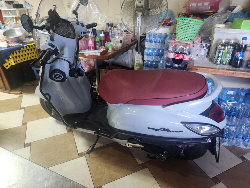 filano hybrid 2022