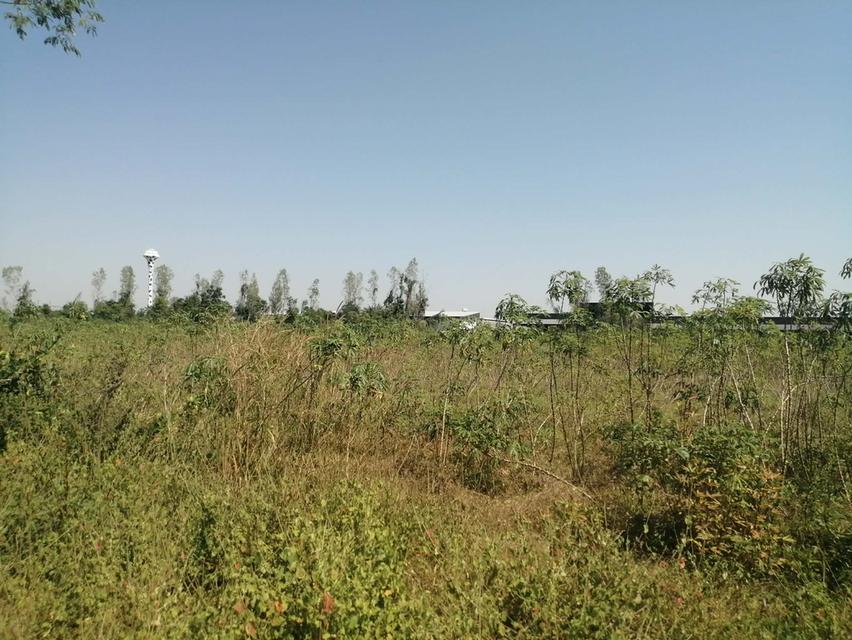 ขายที่ดิน 40 ไร่ ทำเลทอง! ใกล้โรงงาน ต.เขาขลุง อ.บ้านโป่ง เหมาะสร้างโรงงาน/ตลาด น้ำไฟพร้อม ไร่ละ 5 แสน 3