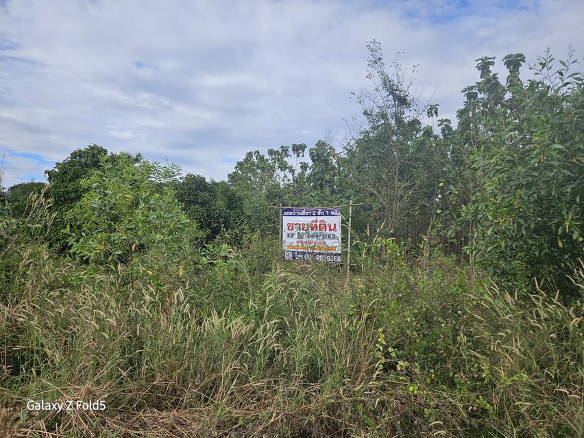 ที่ดินติดถนนสาย 33 ปราจีนบุรี 7