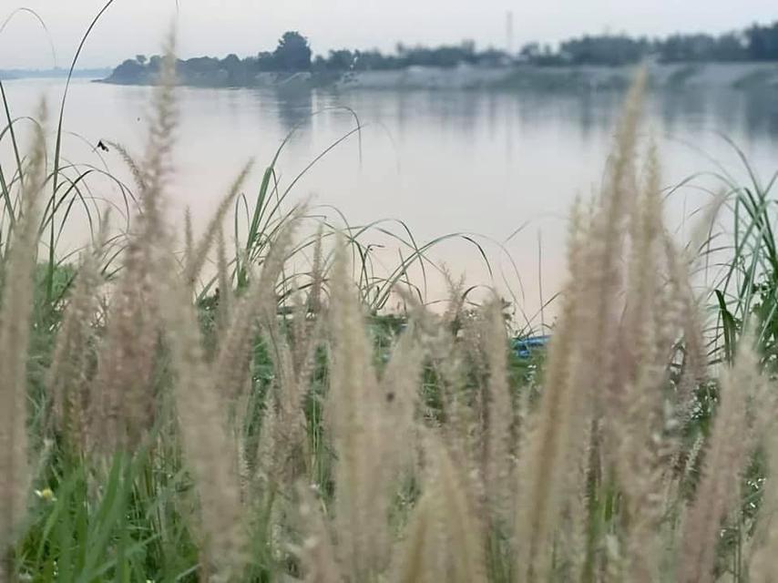 ขายบ้านเดี่ยว 2 ชั้น 100 ตร.ว. บ้านรีโนเวทใหม่ ติดถนนริมโขง 2 ข้างแปลงมุม ทำเลหายาก 12