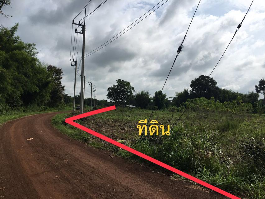 ขายที่ดินหัวหว้า 1 ไร่ เหมาะทำสวน ใกล้ถนนสี่เลนเส้น3070-2กม. อ.ศรีมหาโพธิ ปราจีนบุรี 4