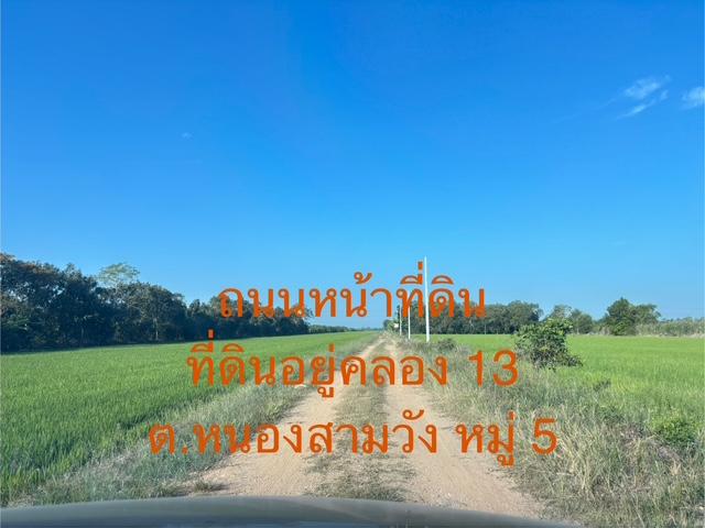 ที่ดิน 2 ไร่ 3